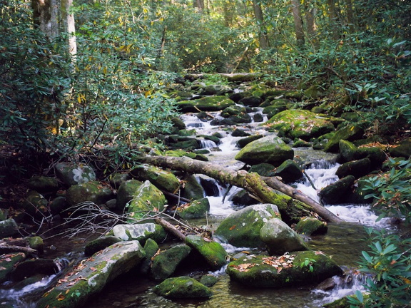 Gabes Mountain Trail